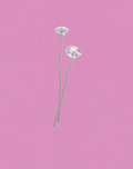 Pins Diamonds
